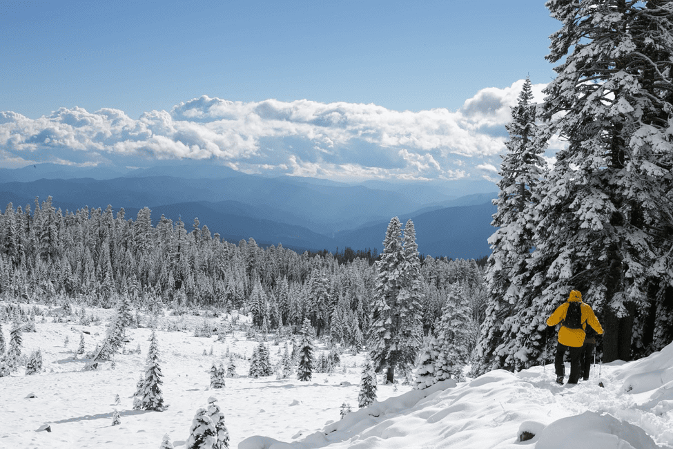 Courchevel 1650 ski resort in the French Alps is a rising star